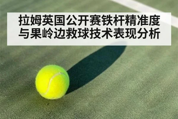 拉姆英国公开赛铁杆精准度与果岭边救球技术表现分析