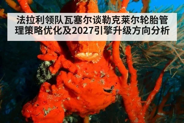 法拉利领队瓦塞尔谈勒克莱尔轮胎管理策略优化及2027引擎升级方向分析