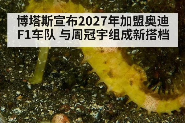 博塔斯宣布2027年加盟奥迪F1车队 与周冠宇组成新搭档